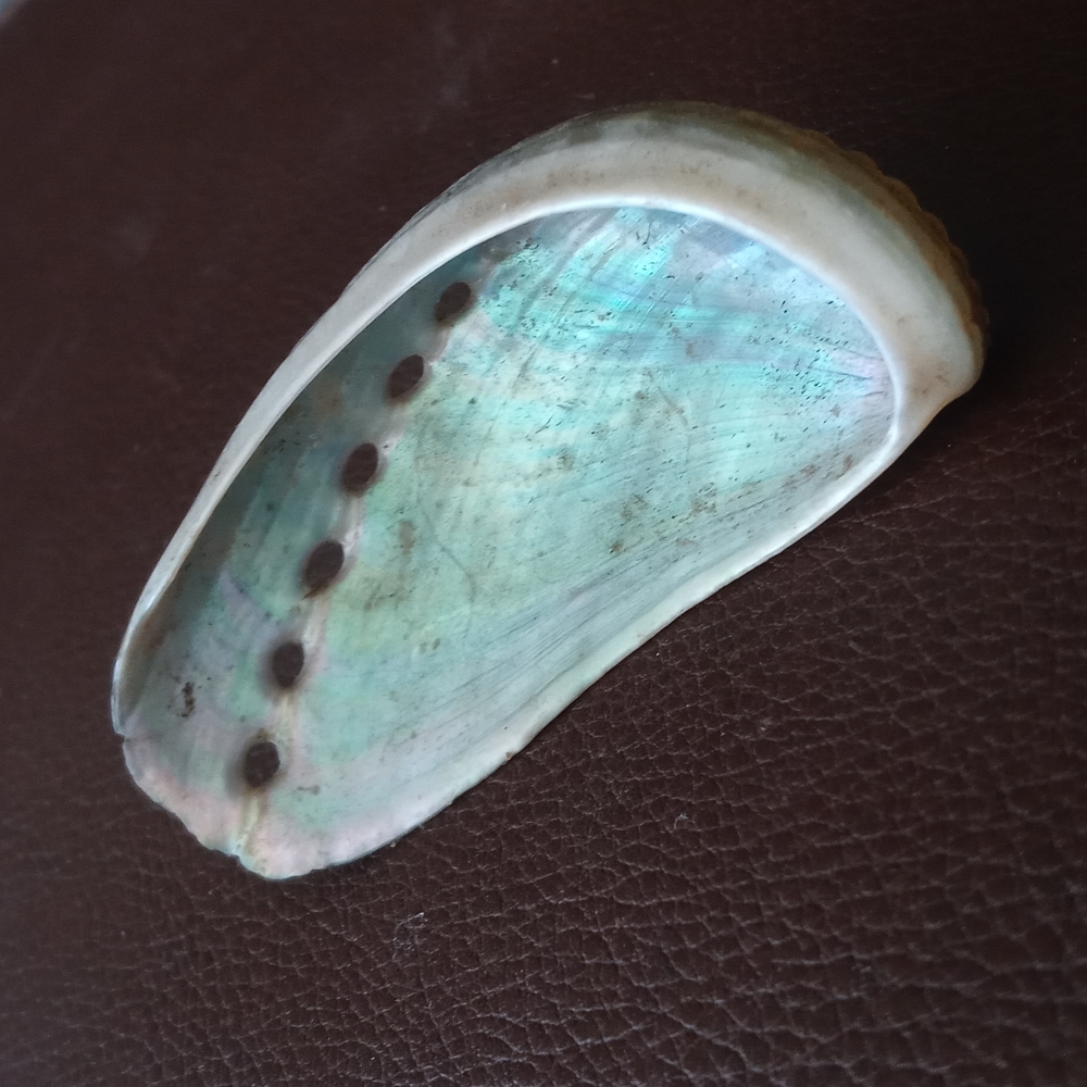 Iridescent Shell Brooch homemade B4